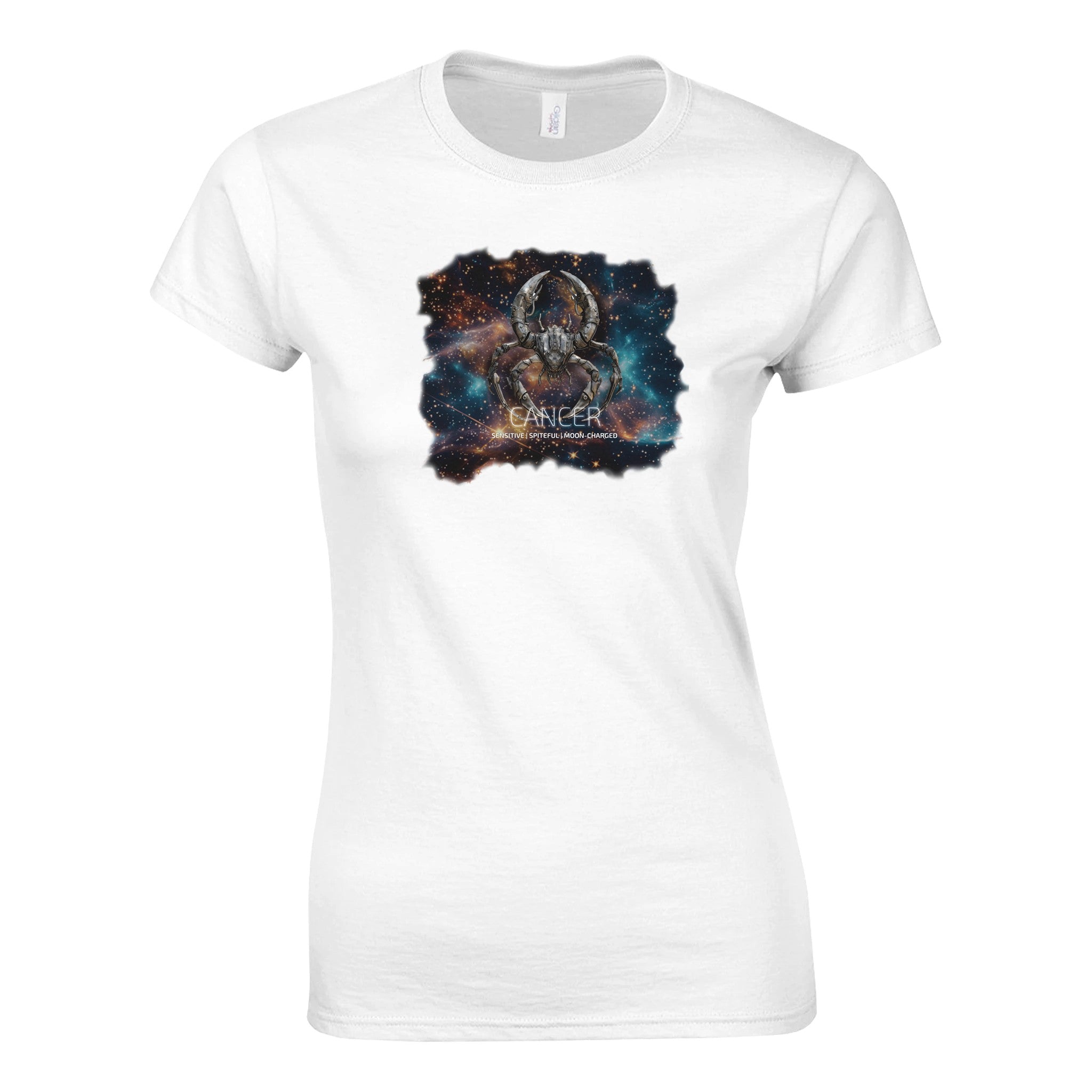 0dcfb9ea-8501-49fc-8c24-d13d79ea3cae